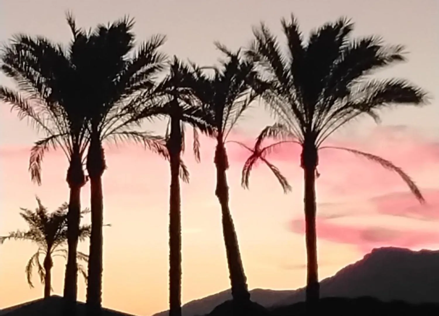 Island Of Riviera Golf Beach Mijas Costa Malaga Apartment